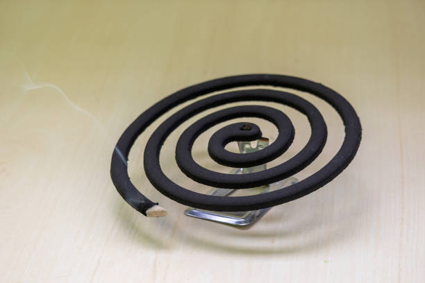 LIFEINNO | Mosquito Coil – Long Lasting 1 BOX 10 pcsMosquito
