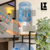 5d79a62ff5431f5718d3515ff553edc1.png LIFEINNO | 2 in 1 Water Bottle Rack with Premium Lasani Wood Top Heavy
