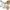 622e74ff53a7554f7e5cf17381db4b38.jpg LIFEINNO | Double Hook Wall Hanger | Heavy Duty Metal Dual Hook for