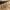 666c806f801ce43c0d9a3ed2356cef3c.jpg LIFEINNO | Double Hook Wall Hanger | Heavy Duty Metal Dual Hook for