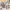 92f0fff49a4027fab30f22449182d4ab.png LIFEINNO | 6 Hook Metal Glass Stand Mug Holder with Wood Base Professi