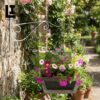 LIFEINNO | Iron Garden Wall Hanging Stand - Vol 2