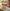 LIFEINNO | 3-Tier Multi-Functional Spice Rack and Countertop Organizer