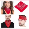 e668bded9def4dd56a757895ff7fa450.jpg LIFEINNO | Paisley Bandana Scarf | Unisex Cotton Headwear for Men